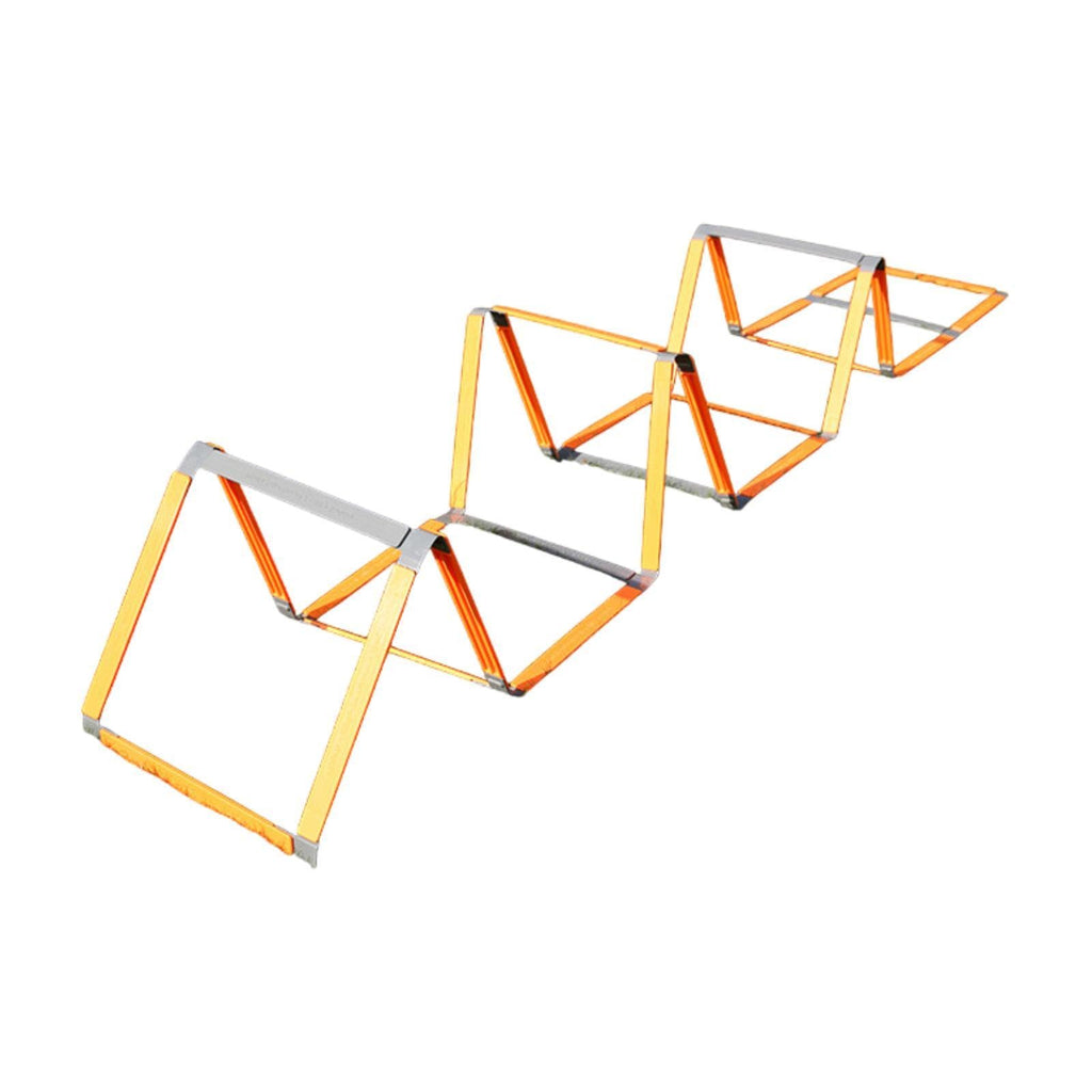 Agility Training Ladder