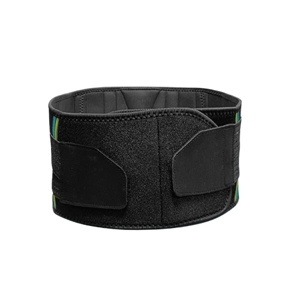 Weight Lifting Belt