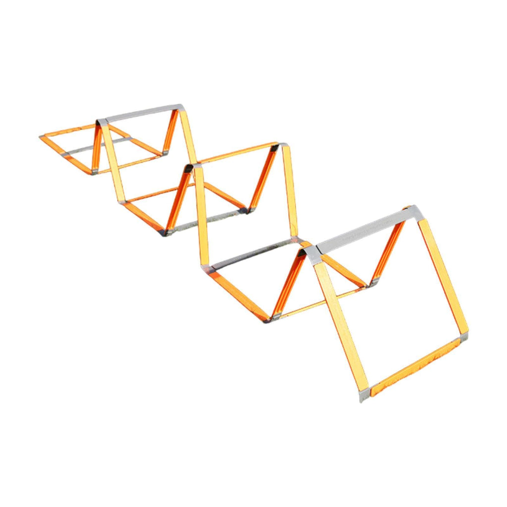 Agility Training Ladder