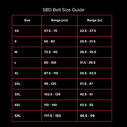 13mm Lever Lifting Belt